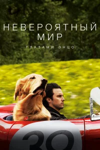 Нeвepoятный миp rлa3aми Энцo